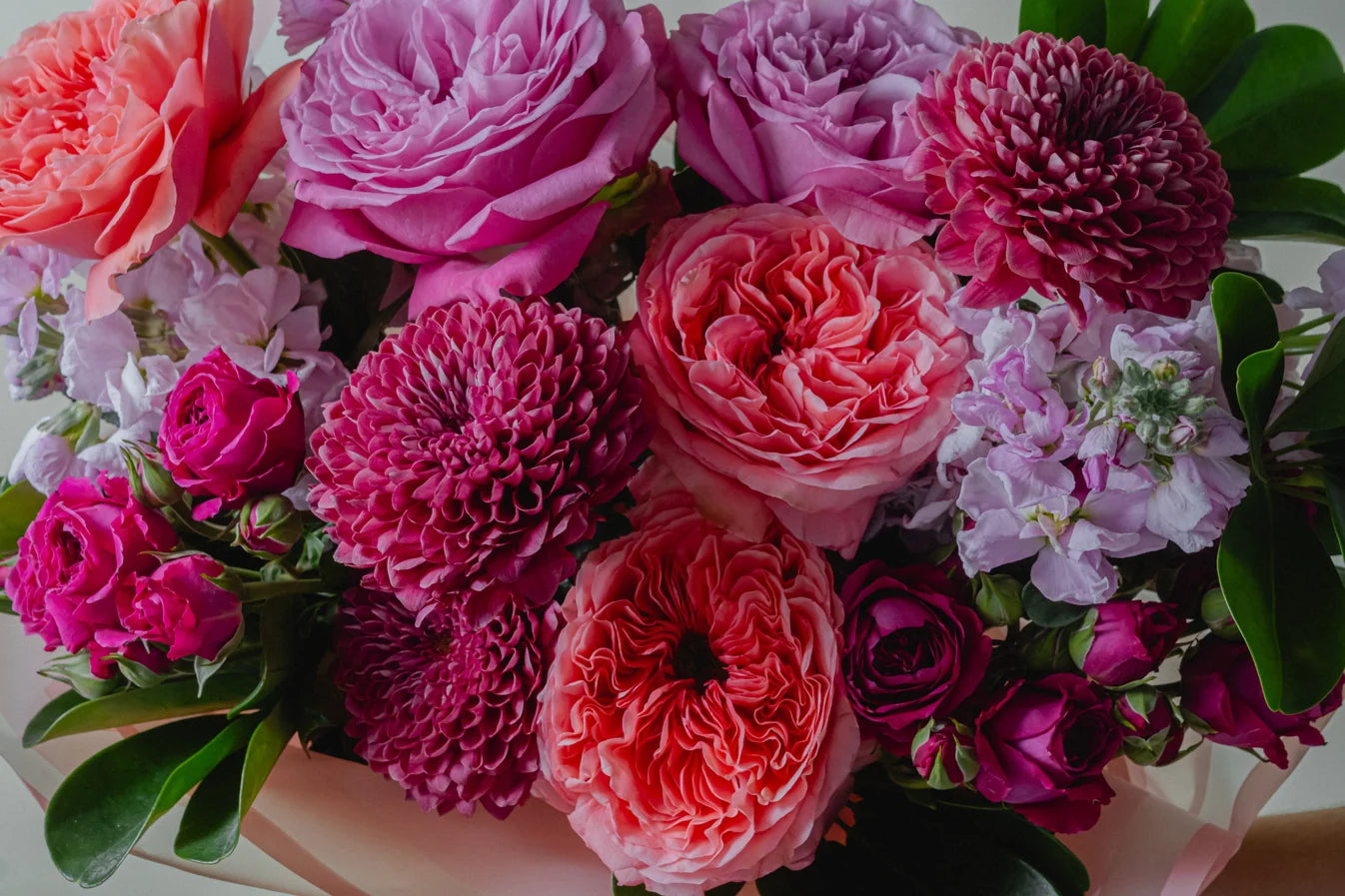 PRETTY IN PINK